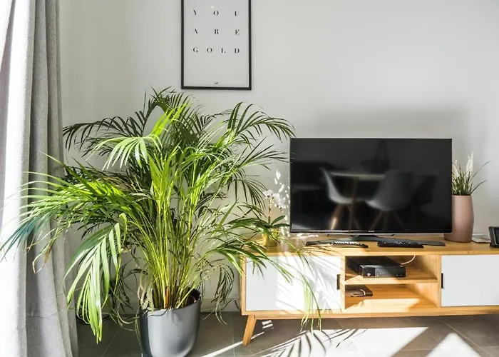 Apartment Luxury With Free Parking Ostende